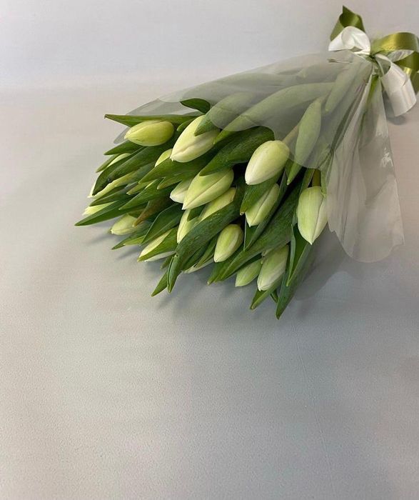 Тюльпаны голландские