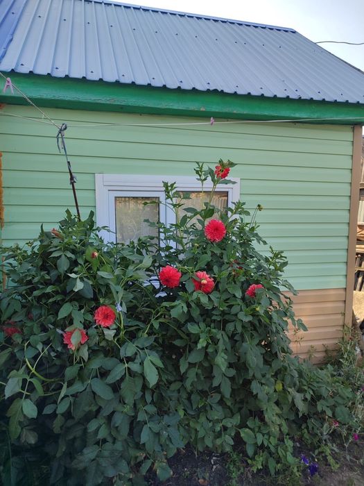 Продам дачу в Борках