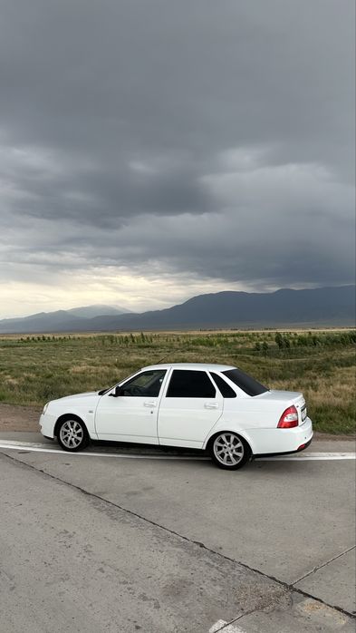 Сильверы silver edition R15