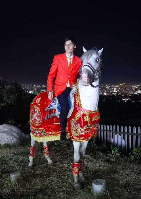 многоязычный ведущий