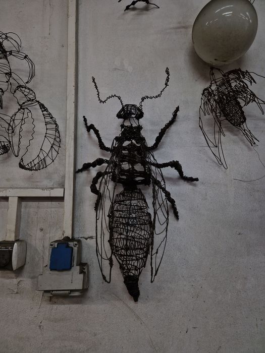 Оса от тел 60 см