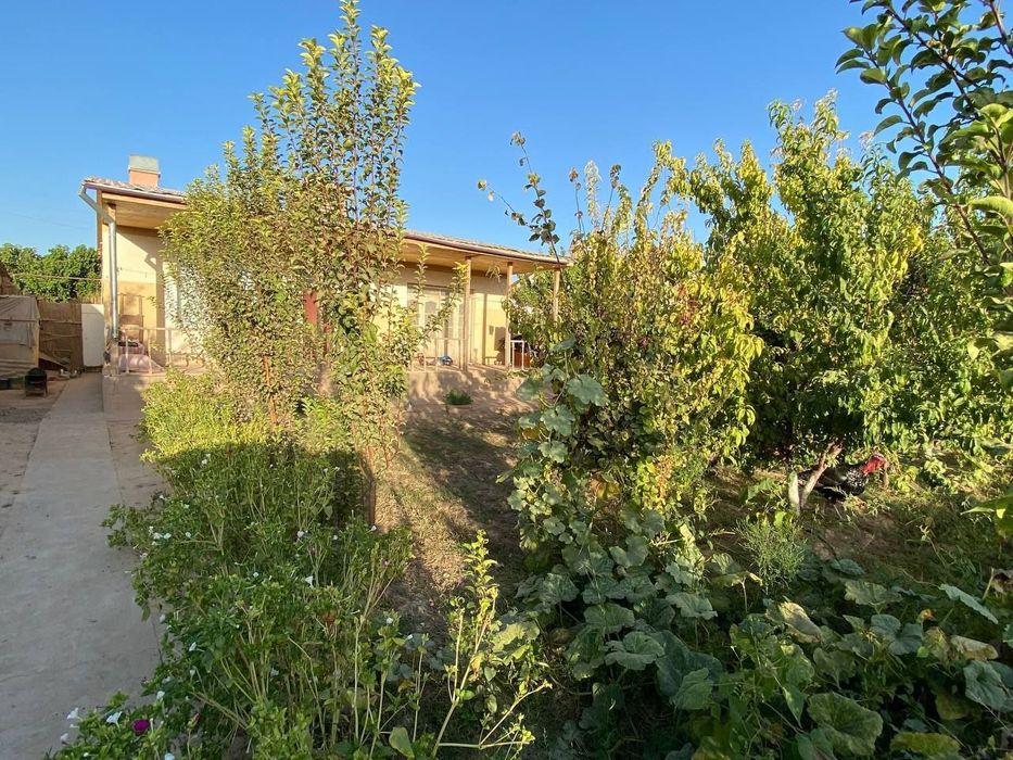 Surxondaryo viloyati Angor tumani Yangi shahar to'yxonasi yaqinida