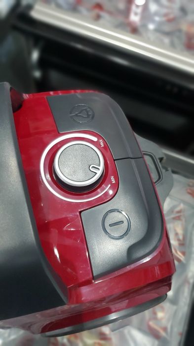 Pilesos changyutgich