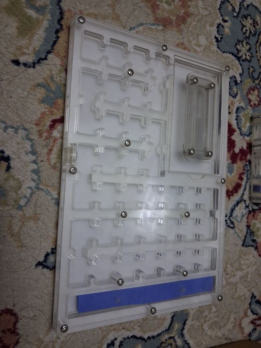 Формикарий для муравьев