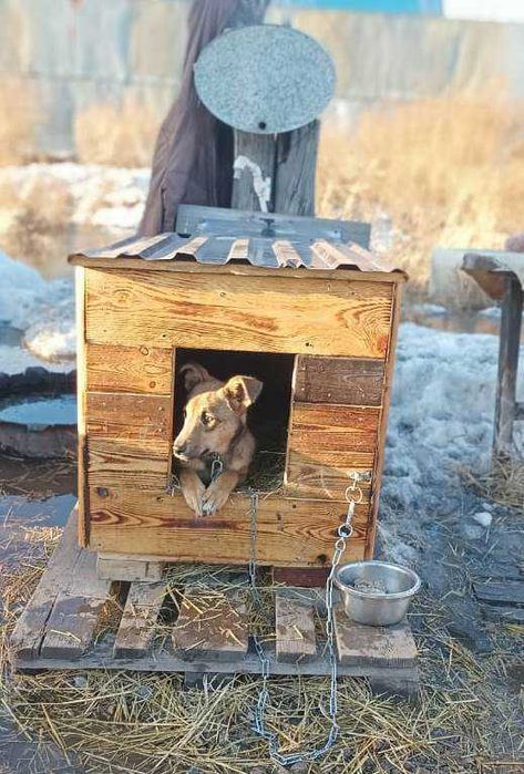 Малышке Броне нужен дом