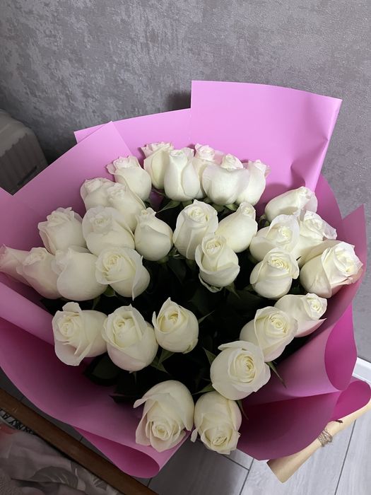 Свежие розы 31 штук
