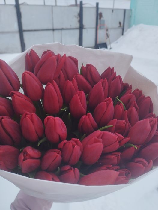 Тюльпаны в наличие