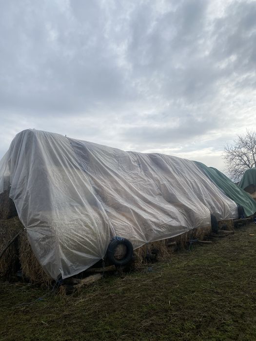Baloți lucernă de vânzare