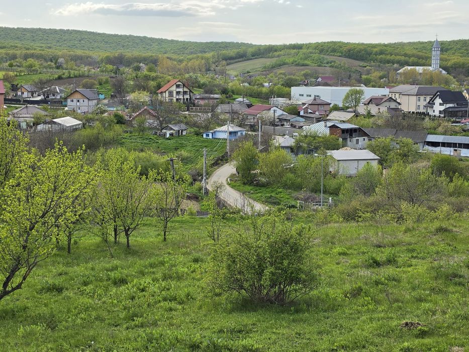 Teren intravilan 3200 mp Comuna Horlesti