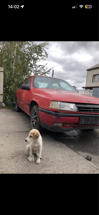 Продается Opel Vectra A1989