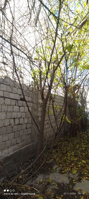 утин,дрова фруктовые ,дарахт, дераза