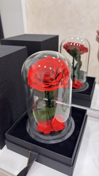 Роза в колбе на 8 марта