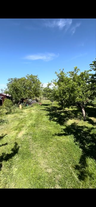 Tund iarba pe zona Oradea