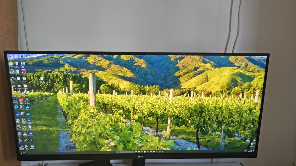 Vand monitor lg de 4k