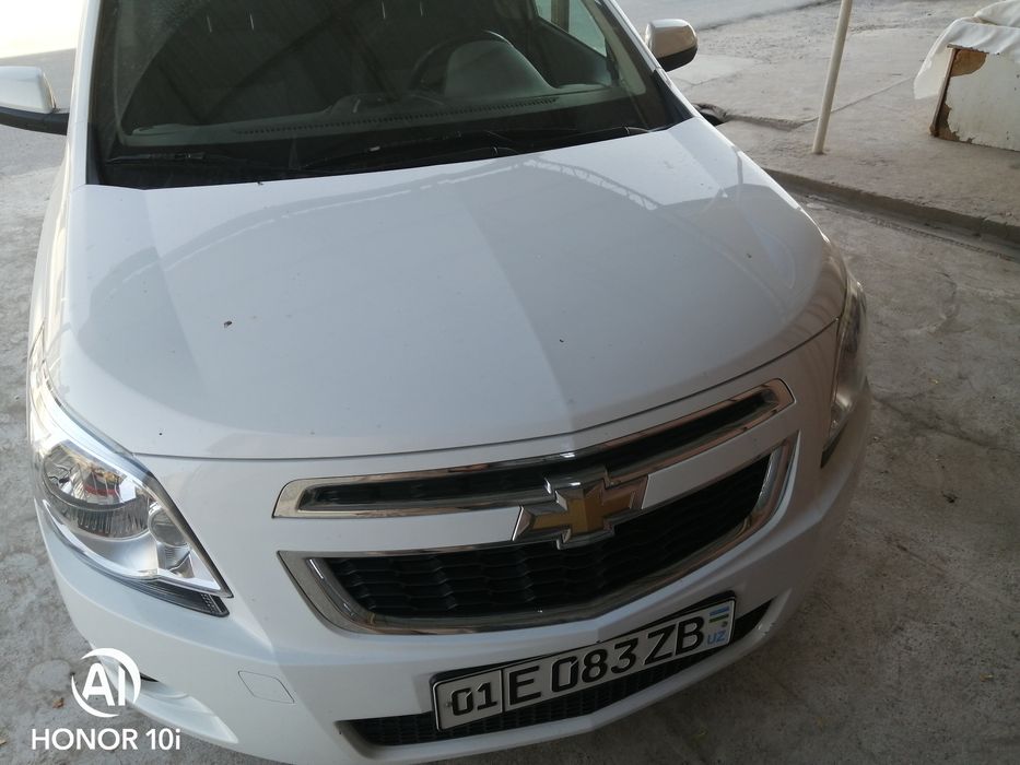 Кобольт белый WAET STAEl 2023