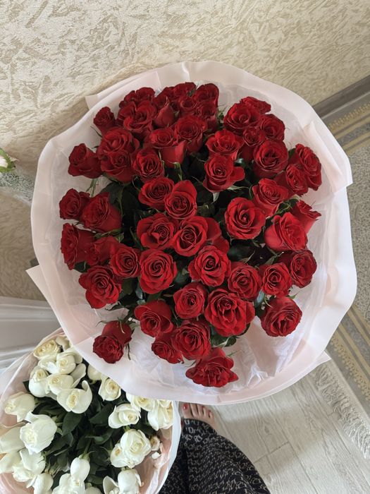 51 красный свежие розы