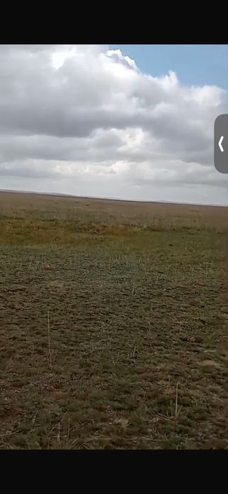 Земля для сельский хозяйство