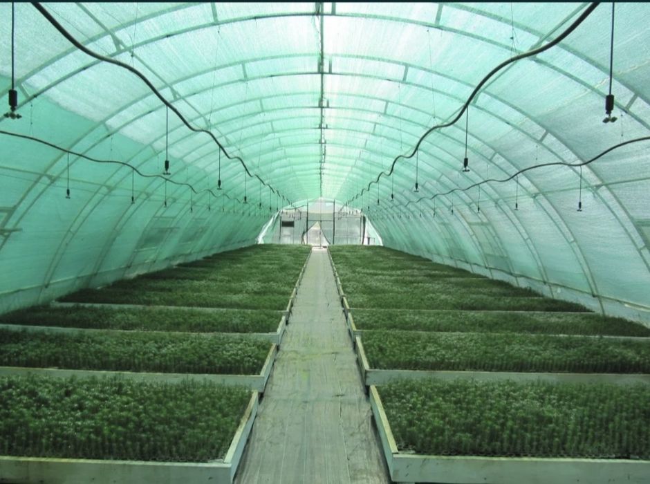 Сетка оптом Тошкенда! Установка Qurilish brigadasi! No'ldan-kalitgacha