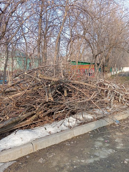 Даром дрова самовывоз