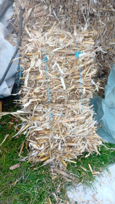 De vanzare baloti coceni porumb