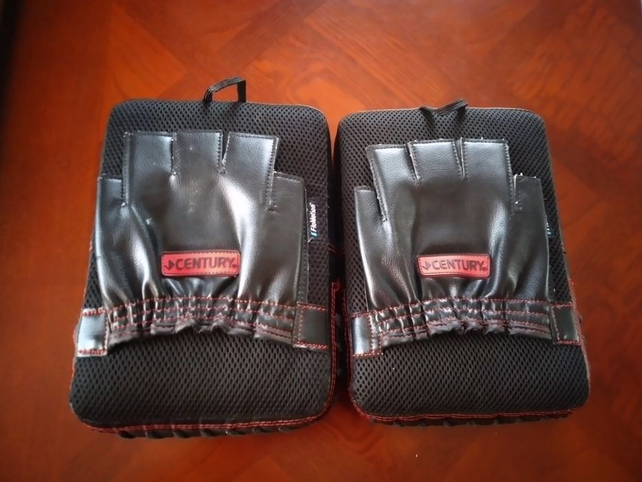 Лапы для бокса. Рядом с Каргу.