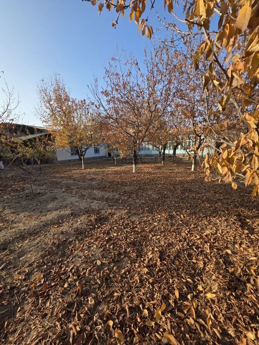 Дурмон САНИИФ 9 сотих+ 6 сотих   эски уй ер ҳисобида сотилади.