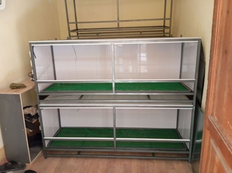 Bruder,  брудер jo‘jalar, жўжалар