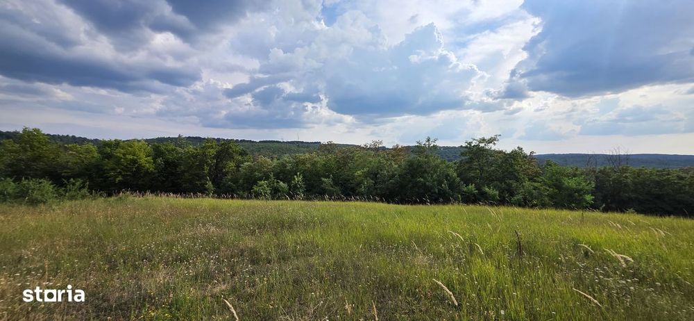 Teren Extravilan 9.528mp/ Vârciorog -Bihor / 30 km de Oradea