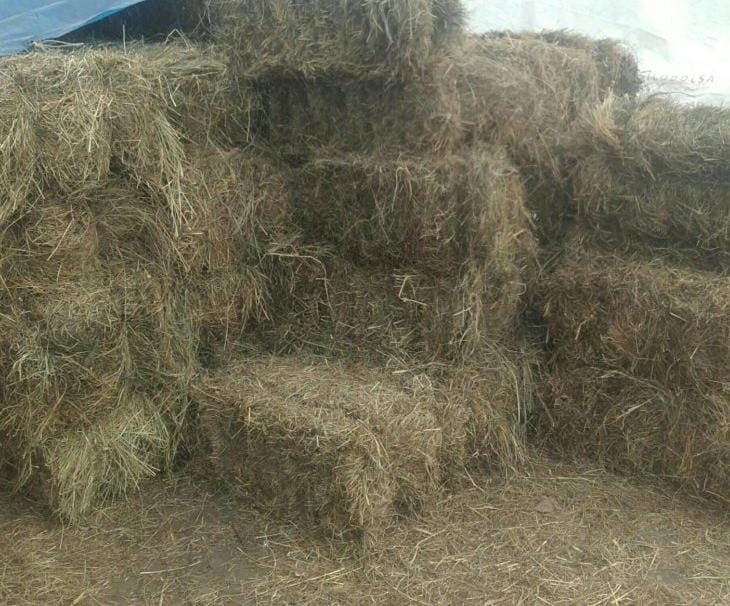 Продам рулонное и тюковое сено.