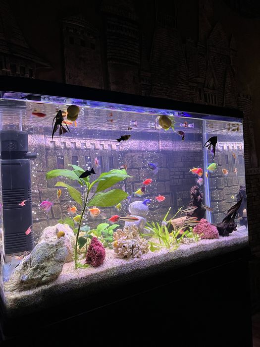 Продам аквариум на 130 литров под ключ