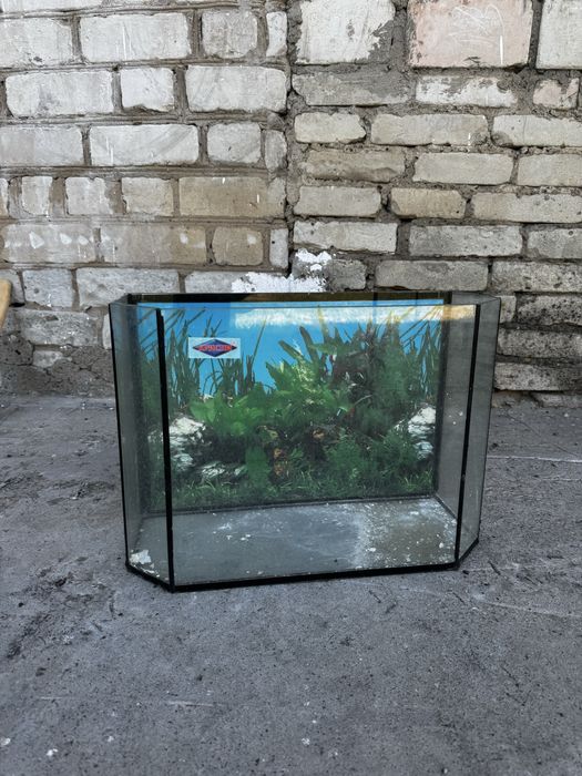 Советский аквариум