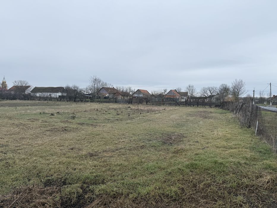 Teren intravilan 1300 mp, front stradal 24ml -Cerna (com. Liebling) –