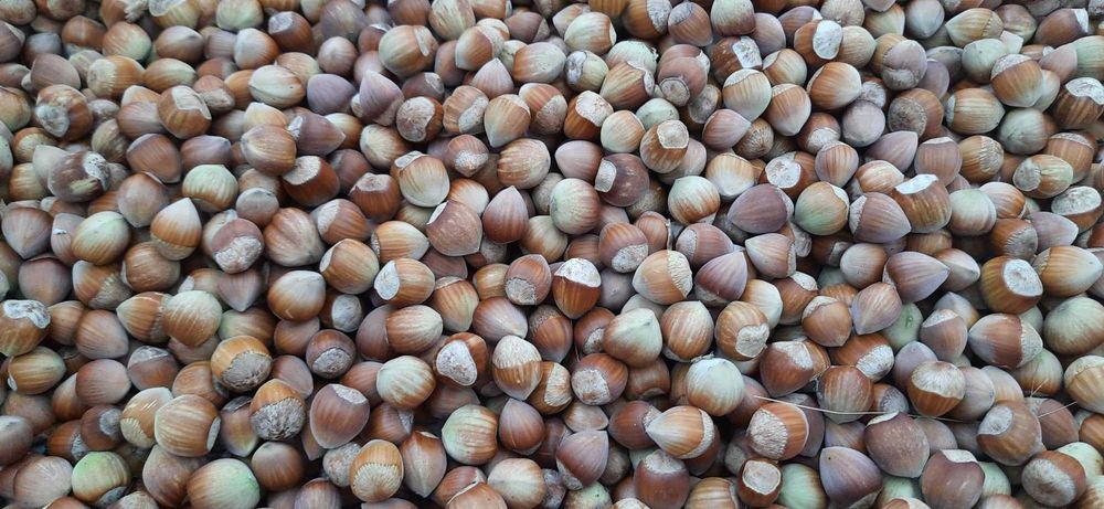 Продава се Земеделски имот в Шумен, Център -  кв.м за 3060 €/дка - Снимка #20