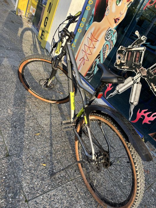 Bulls 27.5.