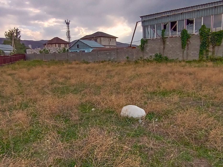 Срочно Продам Участок!