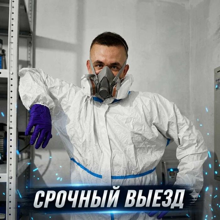 Дезинфекция клопов | Dezinfeksiya tarakan | Kafolat | Ташкент арзон