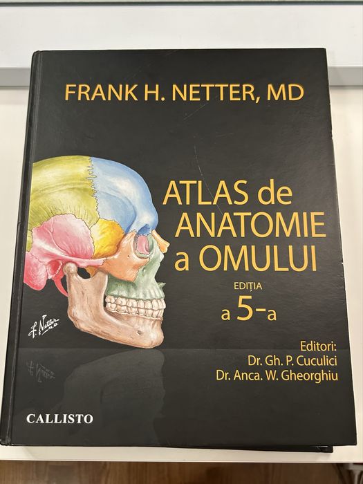 Atlas de anatomie Netter