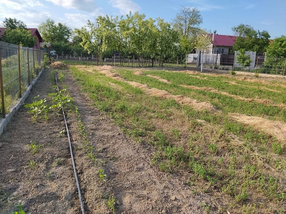 Casă bătrânească Perieți, Ialomița