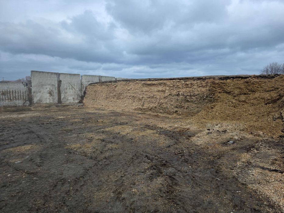 Vand porumb siloz Pret 300 lei tona