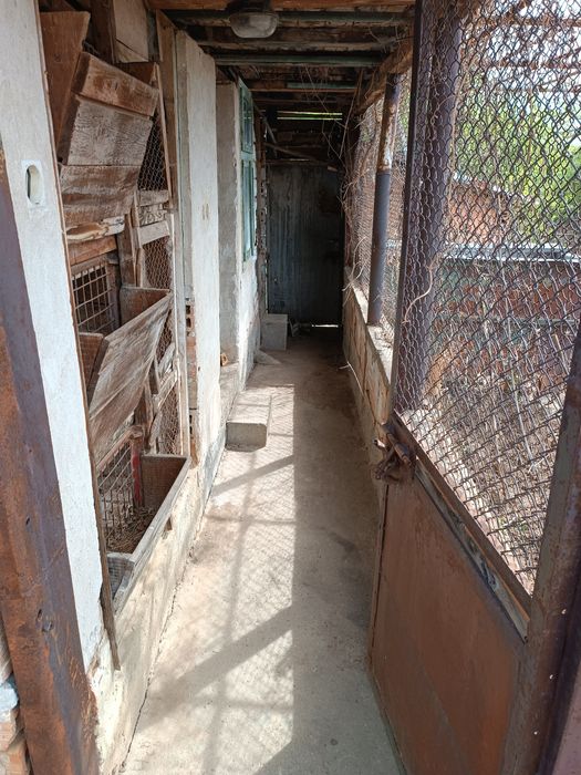 Продава се Парцел в Севлиево - 1001 кв.м за 10 €/кв.м - Снимка #7