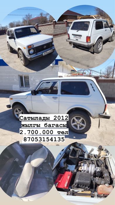 …………………….