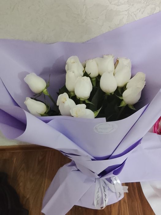 Продам цветы свежие новые