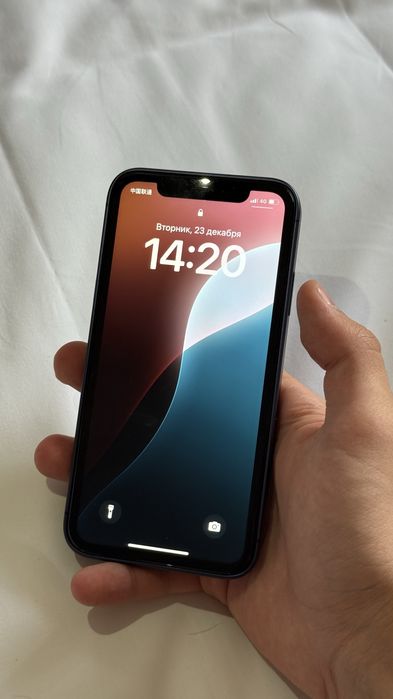 iphone xr в корпусе 17 pro
