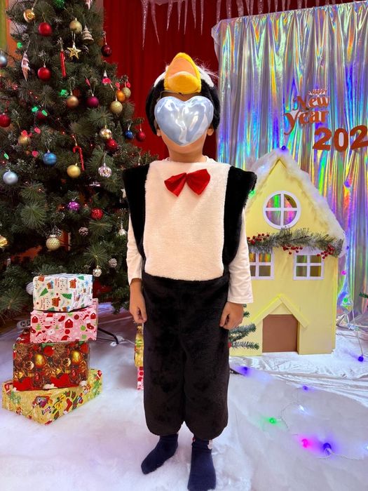 Новогодние костюмы