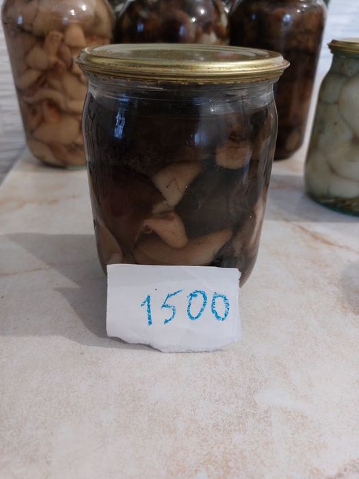 Продам грибы этого года