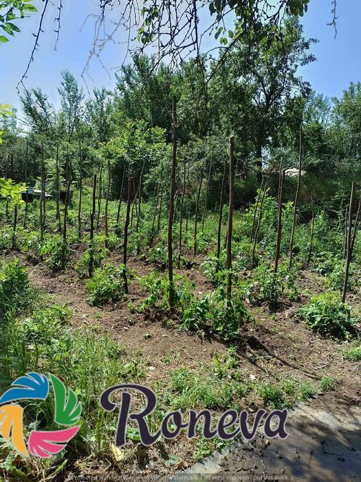 Дворно място с къща за ремонт