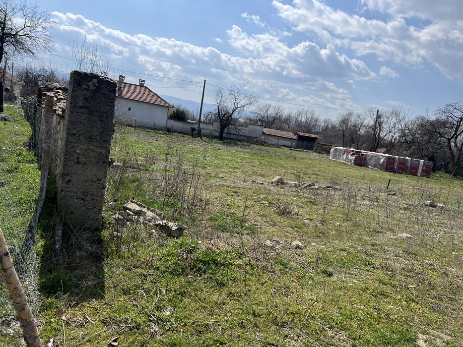 Голям, слъвчев парцел.