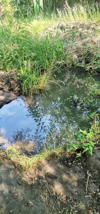 Продава се Земеделски имот в Кюстендил, в.з. Север -  кв.м за 2 €/дка - Снимка #2