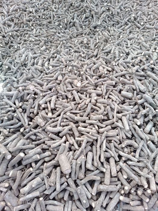 Павловния ФТЕ ва М1 илдиз каламчалари бор