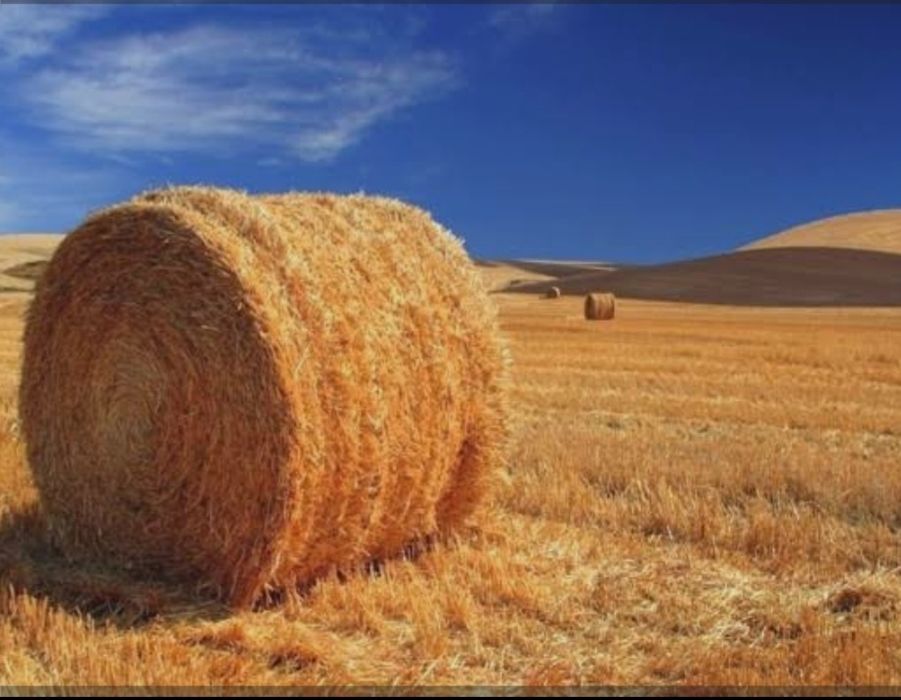 Продам салому рулонами